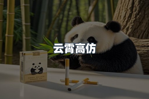云霄高仿